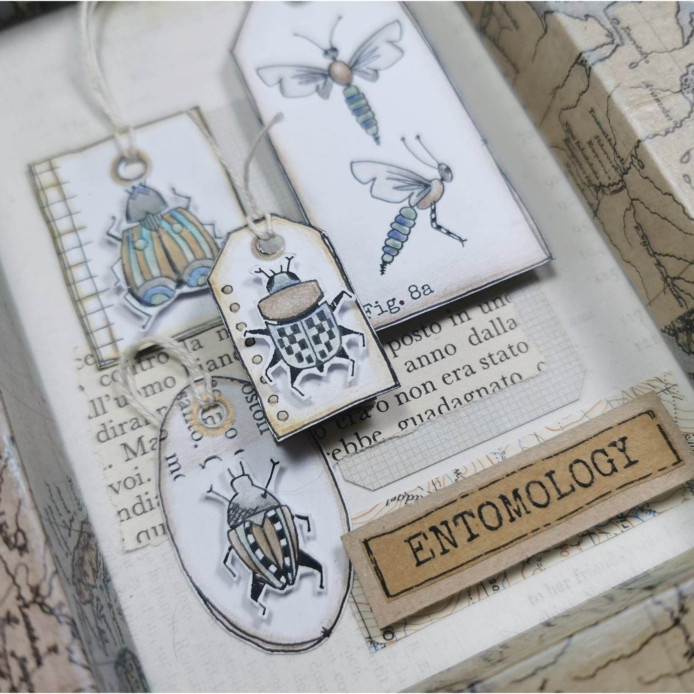 Paper Artsy JOFY 125 Cling Stamps jofy125 insect detail