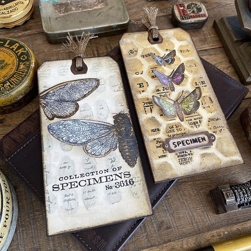 Tim Holtz Layering Stencil Brush Hex THS166 Hex | color-code:ALT01