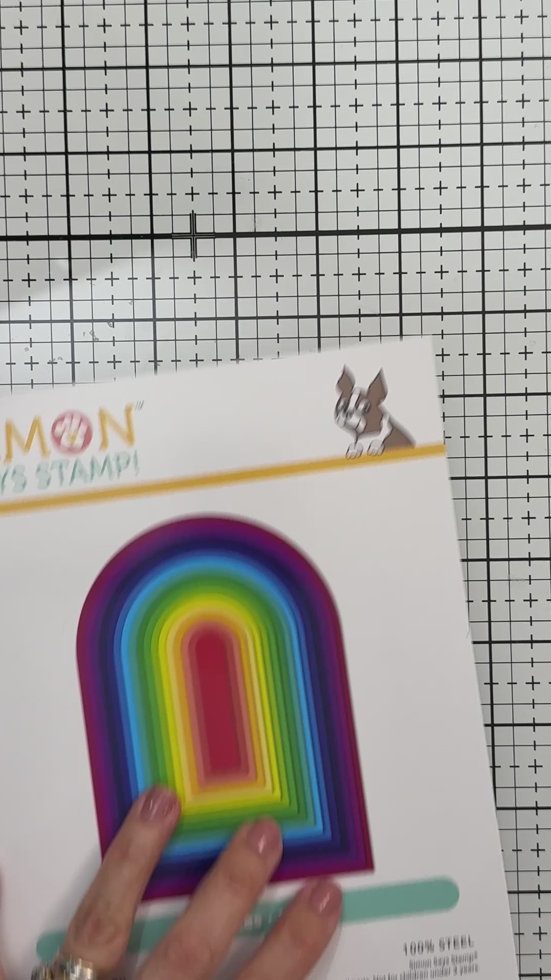 Simon Says Stamp Detail Shading Brush st0210 Shine On Funny Seagull Summer Card Reel Bibi Cameron
