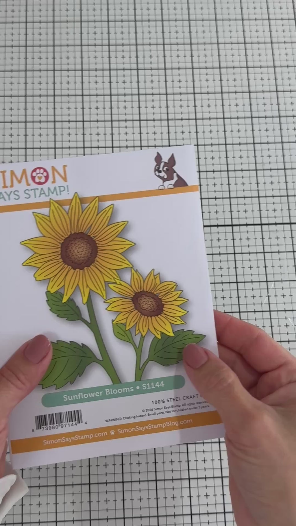 Simon Says Stamp Petal Point Frames Wafer Dies s1132 Every Happiness Bibi Cameron