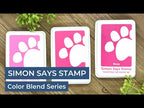 Simon Says Stamp Pawsitively Saturated Ink Trio 12