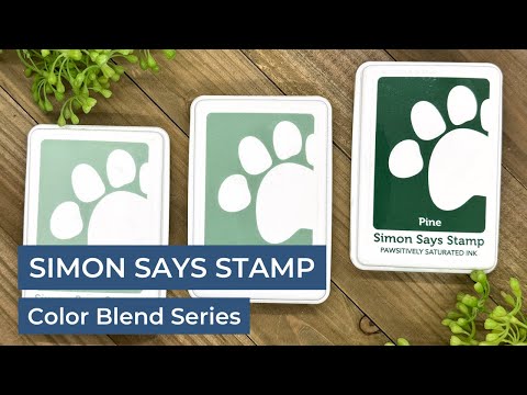 Simon Says Stamp Pawsitively Saturated Re-Inker Set Gradient 3