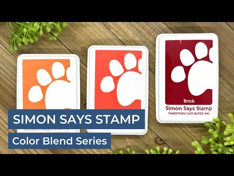 Simon Says Stamp Pawsitively Saturated Ink and Re-Inker Set Gradient 10 ink010full