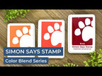 Simon Says Stamp Pawsitively Saturated Ink and Re-Inker Set Gradient 10 ink010full