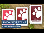 Simon Says Stamp Pawsitively Saturated Ink Set Gradient 10 ssk110 Cheering For You