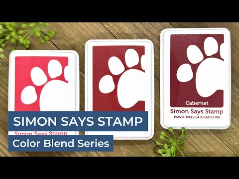 Simon Says Stamp Pawsitively Saturated Ink Set Gradient 10 ssk110 Cheering For You