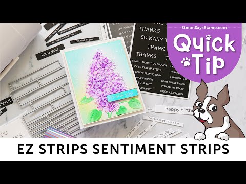 CZ Design XL EZ Strips Number 1 Phrases set1310np Every Happiness EZ Strips Sentiment Strips and Dies: How to Use Together! Quick Tip