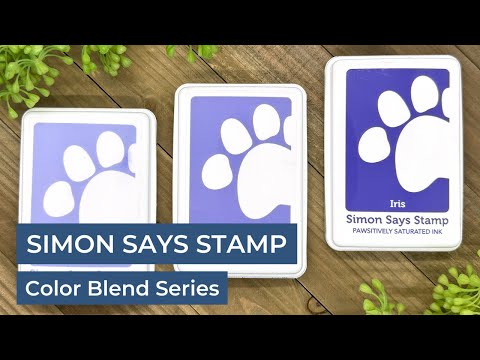Simon Says Stamp Pawsitively Saturated Re-Inker Set Gradient 4