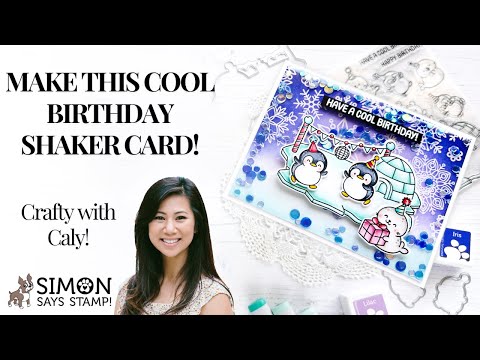 Simon Says Stamps and Dies Cool Birthday set1026cb