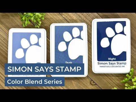 Simon Says Stamp Pawsitively Saturated Re-Inker Sky ssr067 Celebrate