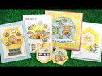 Video introduction to Hive Five set