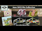 Karen Burniston Small Scenes Bam Box Pop Up Dies 1238 video