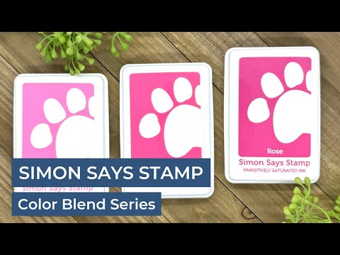 Simon Says Stamp Pawsitively Saturated Ink And Re-Inker Set Gradient 3