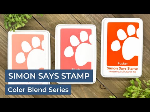 Simon Says Stamp Pawsitively Saturated Ink and Re-inker Set Blush