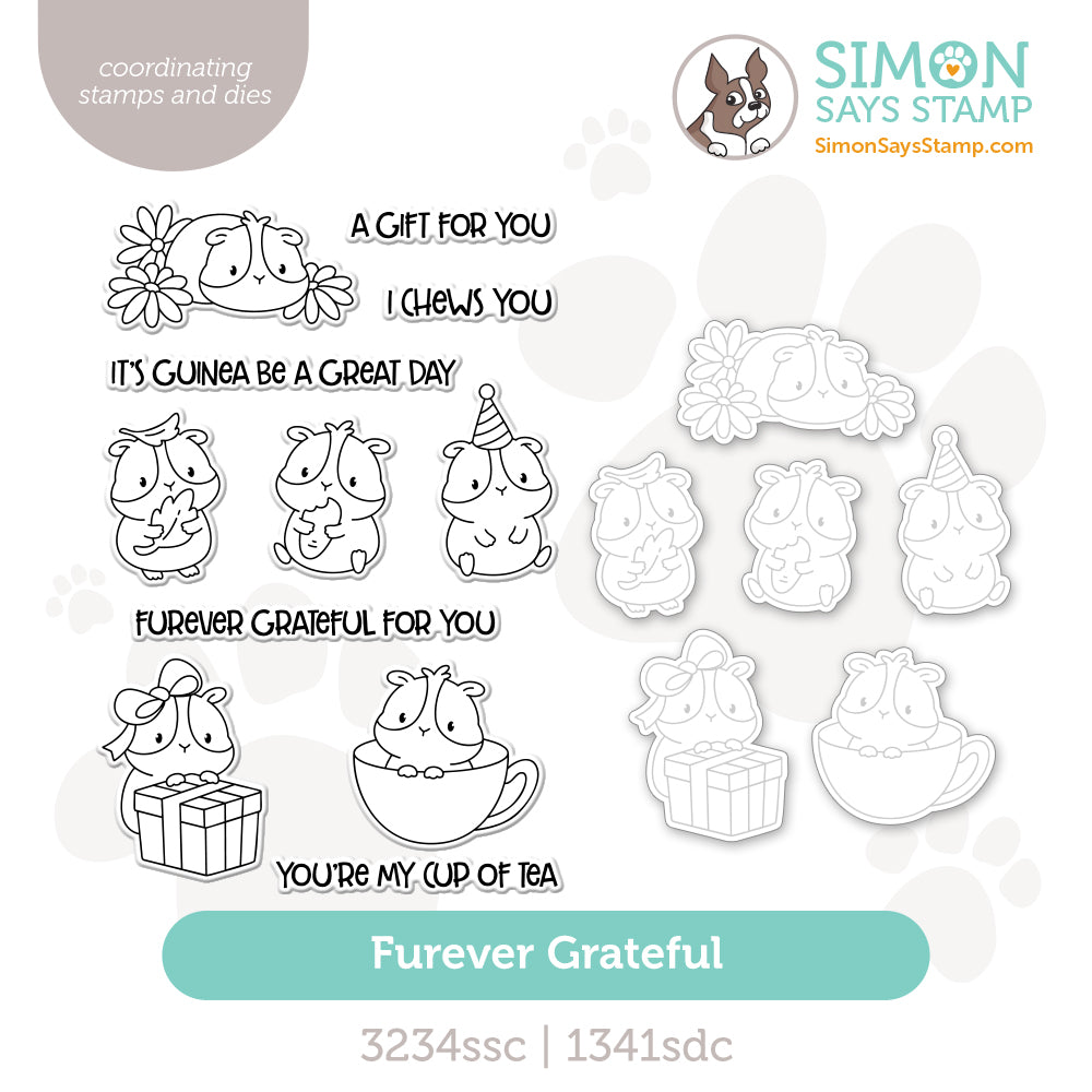 Simon Says Stamps And Dies Furever Grateful set1177fg Beautiful Moments