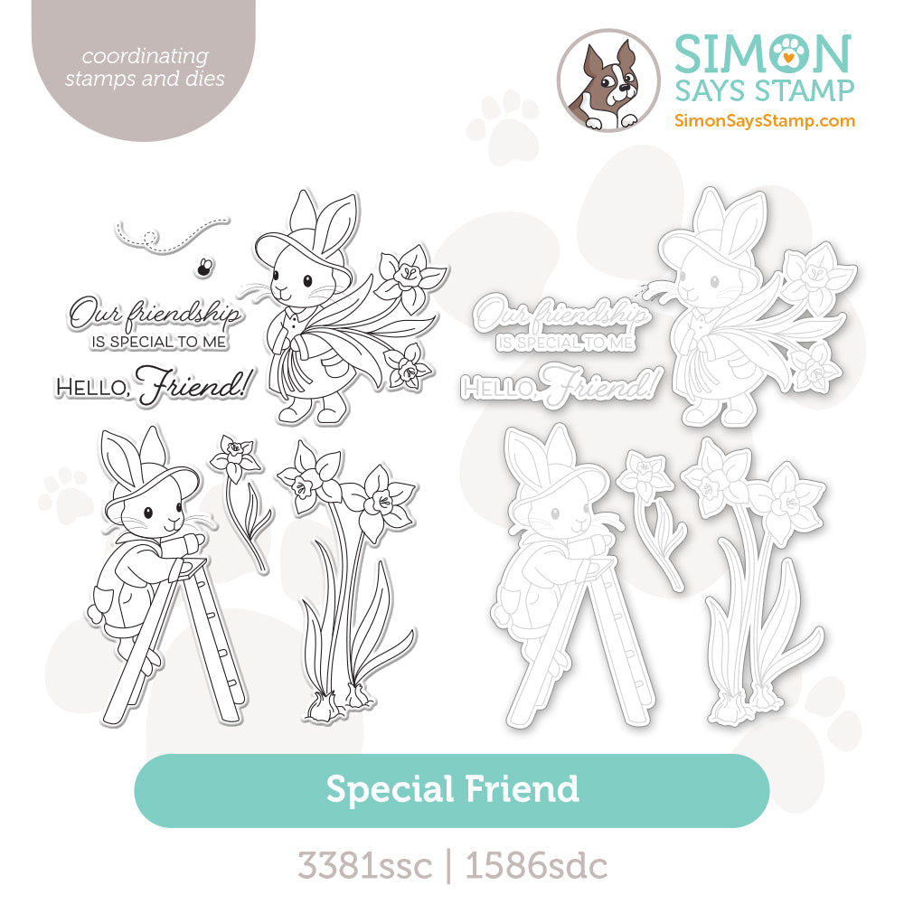 Simon Says Stamps And Dies Special Friend set1179sf Beautiful Moments