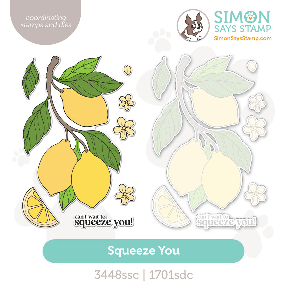 Simon Says Stamps and Dies Squeeze You set1293sy Every Happiness