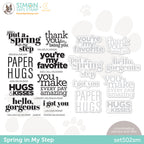 CZ Design Stamps and Dies Spring In My Step