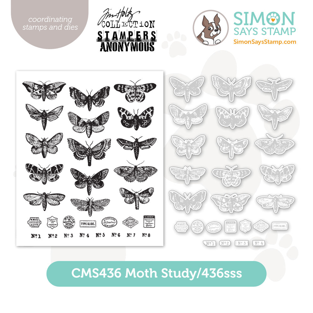 setms26_MothStudy_storeimage1