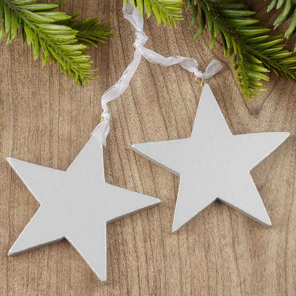 Two silver star-shaped ornaments on a wooden surface with greenery.