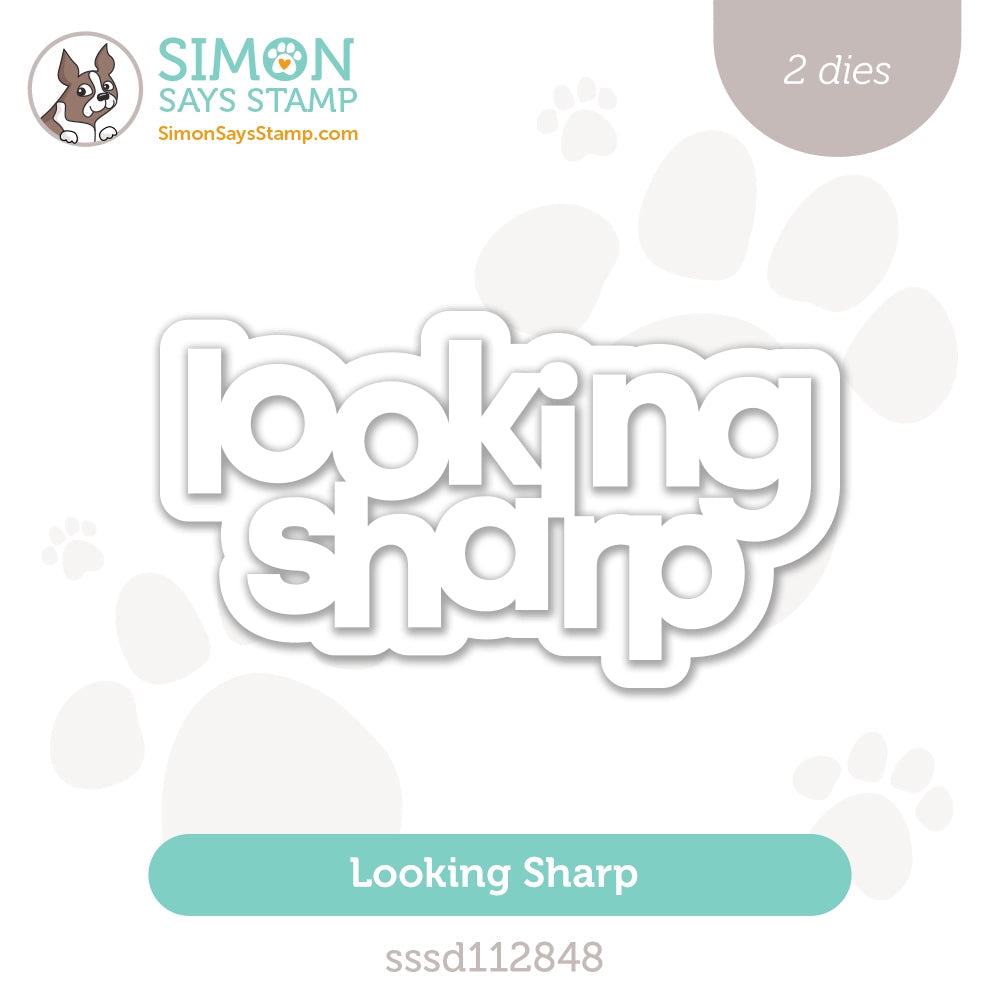 Simon Says Stamp Looking Sharp Wafer Dies sssd112848 Just A Note