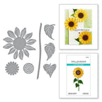 s3-494 Spellbinders Sunflower Serenade Etched Dies product image