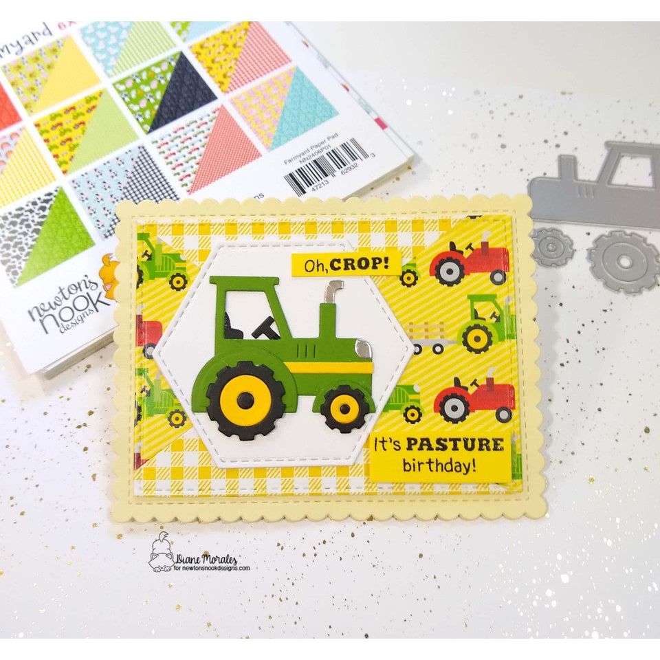 Newton's Nook Designs Farmyard 6x6 Paper Pad nn2406p01 belated birthday