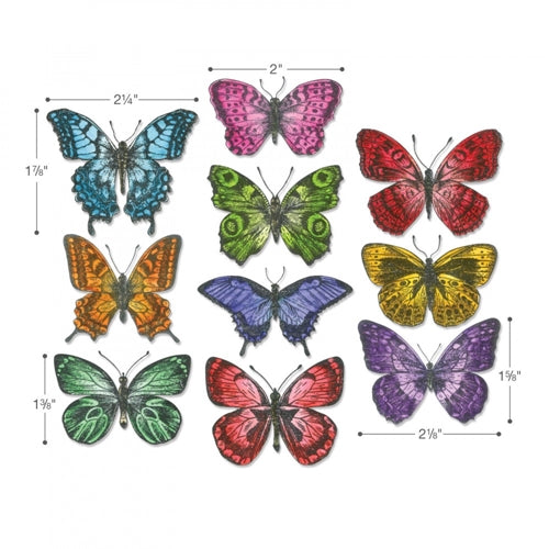 Simon Says Stamp! Tim Holtz Sizzix Framelits FLUTTER Wafer Thin Die Set 662269