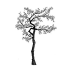 Simon Says Stamp! Lavinia Stamps CHERRY BLOSSOM TREE Clear Stamp LAV015