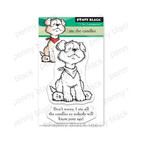 Simon Says Stamp! Penny Black Clear Stamps ATE THE CANDLES 30-817