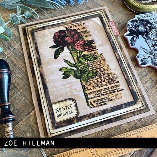 Simon Says Stamp! Tim Holtz Cling Rubber Stamps BOTANIC COLLAGE CMS447 | color-code:ALT5