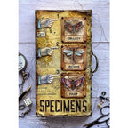 Simon Says Stamp! Tim Holtz Sizzix ALPHANUMERIC THEORY Thinlits Dies 665924 | color-code:ALT13