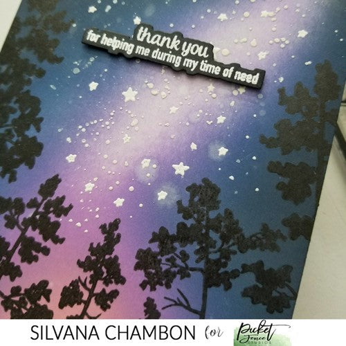 Simon Says Stamp! Picket Fence Studios A NIGHTLY SKY Clear Stamps bb188