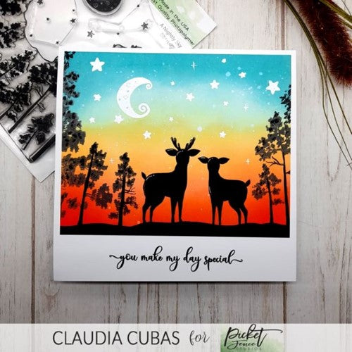 Simon Says Stamp! Picket Fence Studios A NIGHTLY SKY Clear Stamps bb188