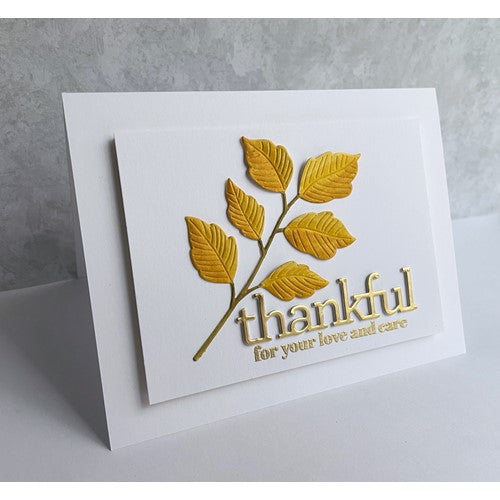 Simon Says Stamp! Simon Says Stamp Embossing Folder And Die LEAFY GREENS sfd265 Cozy Hugs | color-code:ALT2
