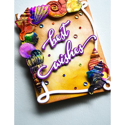 Memory Box DAZZLING SEASHELLS 3D Embossing Folder and Dies ef1029 card