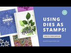 Simon Says Stamp! Simon Says Stamp Embossing Folder And Dies GILDED ORNAMENTAL sfd305