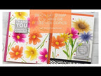 Simon Says Stamp! Simon Says Stamp WORD MIX 1 Wafer Dies sssd112019c