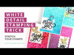 Simon Says Stamp! Simon Says Stamp YOU SHINE Wafer Dies sssd112354