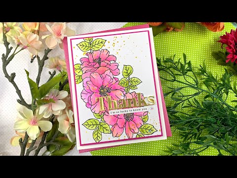 Simon Says Stamp! Tim Holtz Distress Watercolor Pencils SET 1 Ranger tdh76308