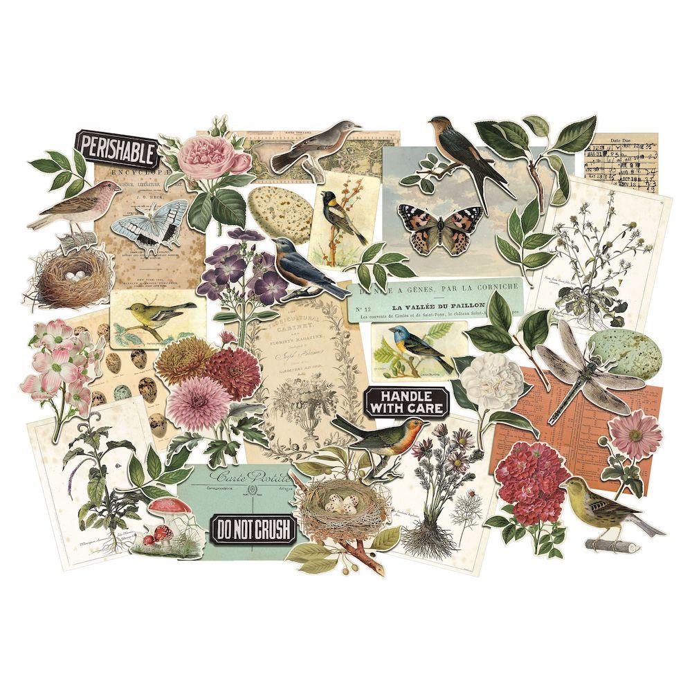 Tim Holtz Idea-ology ORGANIC Layers th94316 - Product Display