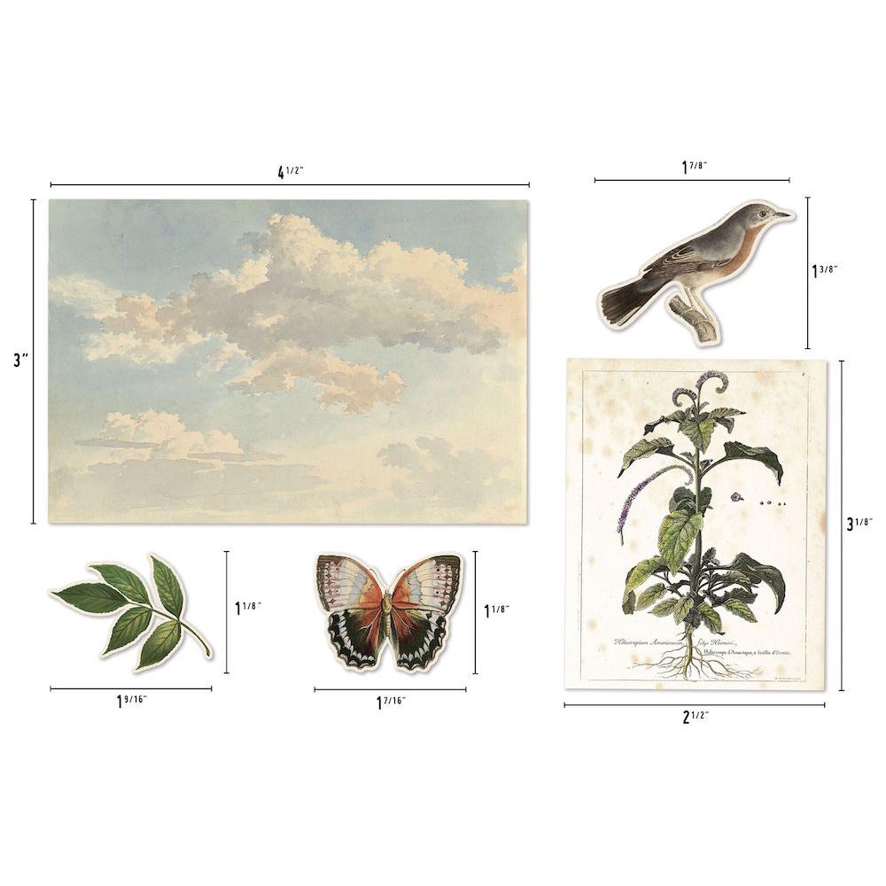 Tim Holtz Idea-ology ORGANIC Layers th94316 - Measurements