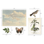Tim Holtz Idea-ology ORGANIC Layers th94316 - Measurements